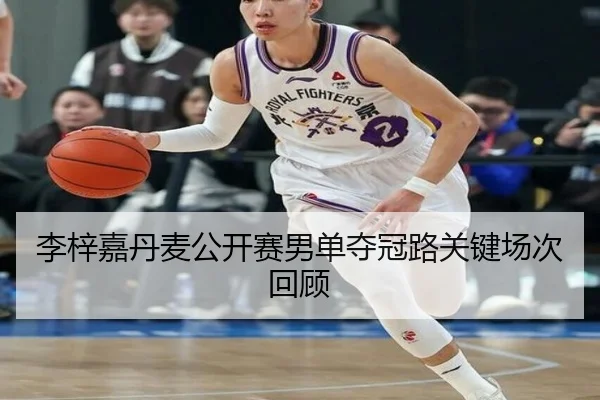 李梓嘉丹麦公开赛男单夺冠路关键场次回顾
